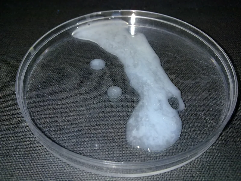 The above is an example of the fluids created by students in our chemical engineering course.